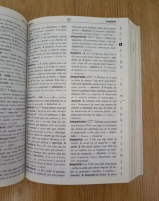 Diccionario