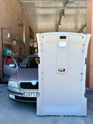tapizo techo de coche y puertas