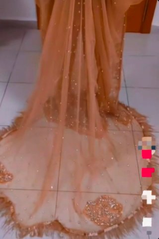 Vestido de Novia Dorado y Plateado