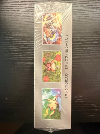 Caja Pokémon Terastal Fest EX Japonesa