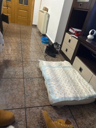 Cama para perro azul y blanca