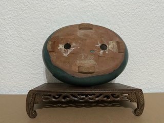 Maceta ovalada para bonsai