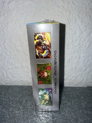 Caja Pokémon TCG: Terastal Festival ex (Japonés)