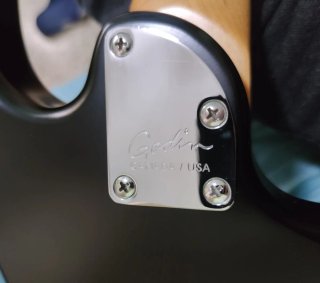 Godin Session y PRS SE Strd (zurdas).