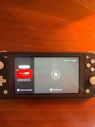 Nintendo Switch Lite Gris