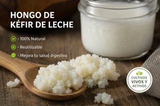 Frasco para kéfir de leche.