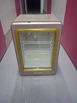 Mini Nevera Pago