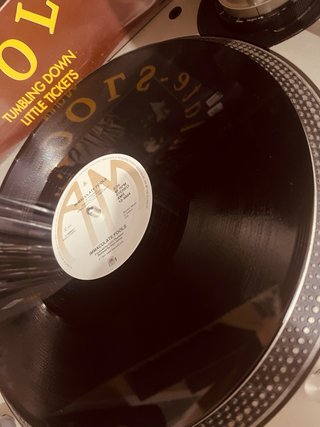 Immaculate Fools Maxi Single Tumbling Down