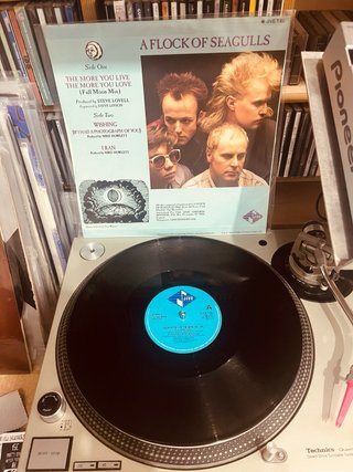 Immaculate Fools Maxi Single Tumbling Down