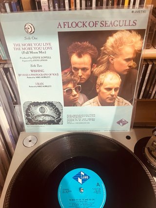 Immaculate Fools Maxi Single Tumbling Down