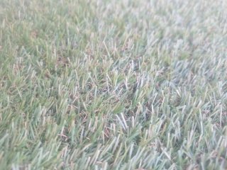 Césped Artificial 22 mm Altura 2.2 m2
