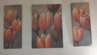 Juego 3 cuadros tulipanes
