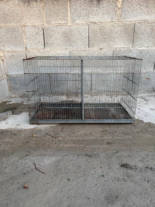 Lote 4 Jaulas Pájaros Canarios Accesorios