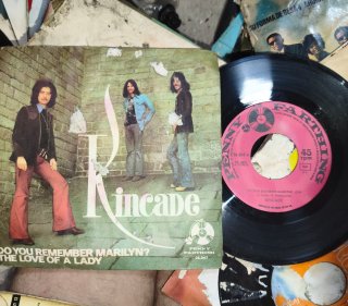 Lote 80 Vinilos Tocadiscos HOY