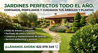 Servicio Profesional de Jardinería – Cuidado, Poda