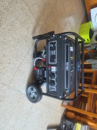 Generador Eléctrico BSG 3100W