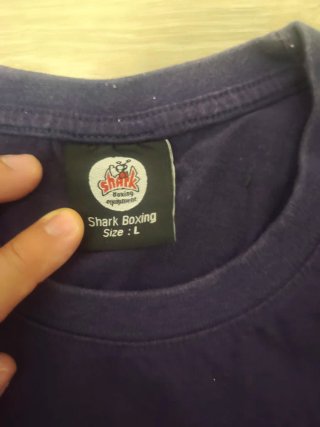 Pantalón y camiseta boxeo Shark