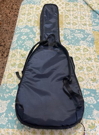 Guitarra Clásica + Funda Ritter + Libro + Púas