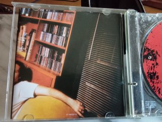 CD Corrosion Of Conformity Wiseblood