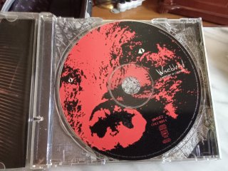 CD Corrosion Of Conformity Wiseblood
