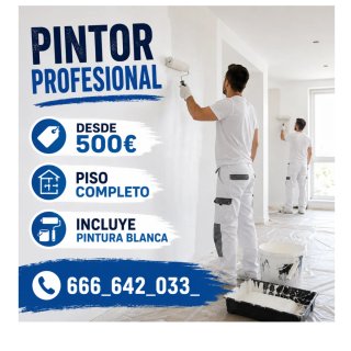 Pintor Profesional a Domicilio