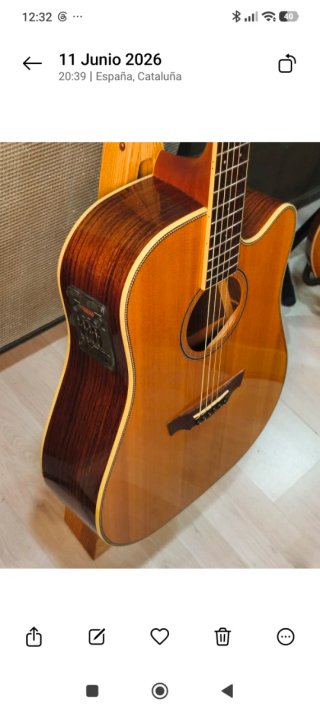Parkwood PW-560 Guitarra Acústica