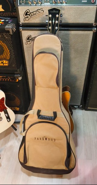 Parkwood PW-560 Guitarra Acústica