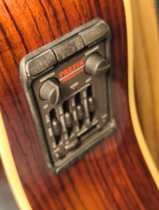 Parkwood PW-560 Guitarra Acústica
