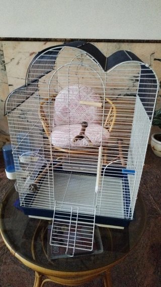 Jaula para periquitos