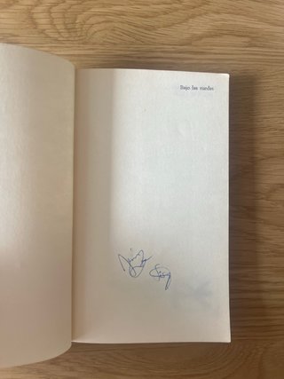 Libro Bajo las ruedas Hermman Hesse