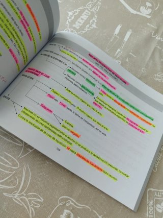 Procedimiento Administrativo Común de las Admin...