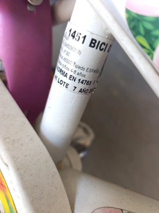 Bicicleta Dora la Exploradora Niña