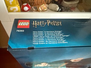 LEGO Harry Potter 76393 Harry y Hermione