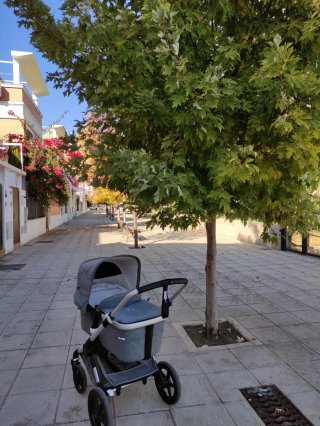 Carrito Bugaboo Fox 3