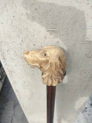 Bastón antiguo con cabeza de perro de pasta maciza