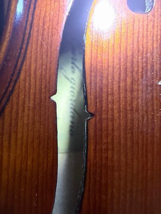 Viola 12” con funda y arco