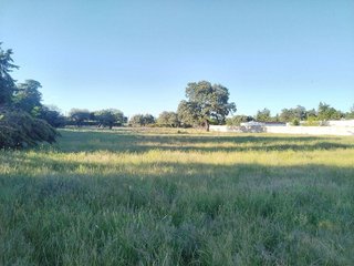 Terreno en venta en Casar de Cáceres