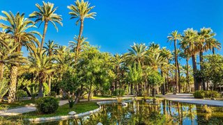 Piso en venta en Carrús Est - Camí dels Magros en Elche