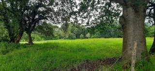 Terreno en venta en Escalante