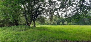 Terreno en venta en Escalante