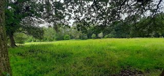Terreno en venta en Escalante