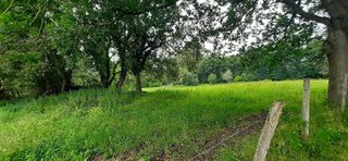 Terreno en venta en Escalante