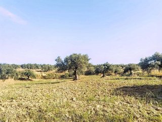 Terreno en venta en Alhaurín el Grande