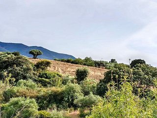 Terreno en venta en Alhaurín el Grande
