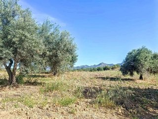 Terreno en venta en Alhaurín el Grande
