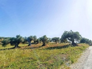 Terreno en venta en Alhaurín el Grande