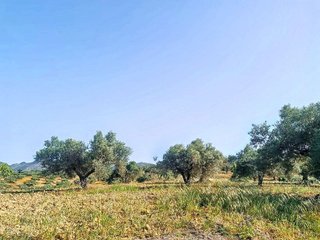 Terreno en venta en Alhaurín el Grande