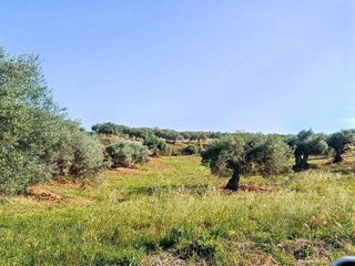 Terreno en venta en Alhaurín el Grande