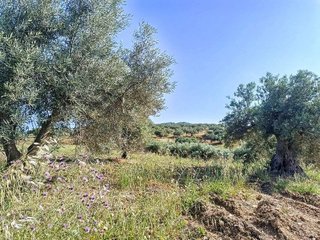 Terreno en venta en Alhaurín el Grande
