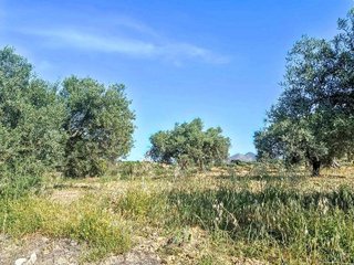 Terreno en venta en Alhaurín el Grande